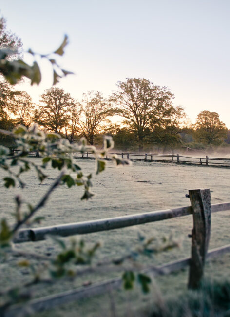 Sonnenaufgang in der Heide