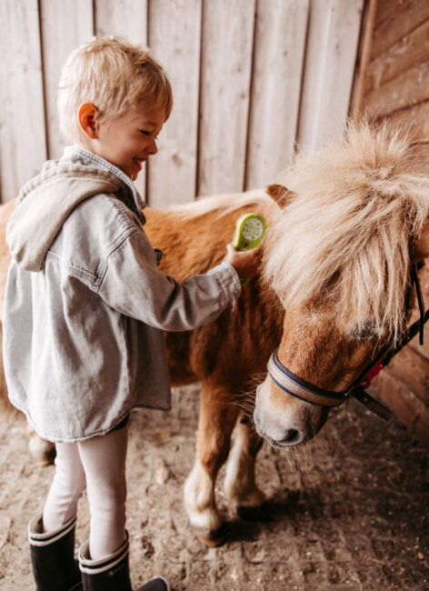 Ein Junge putzt das Pony.